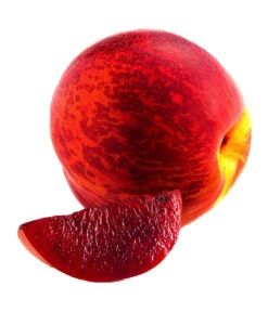 Blutnektarine -Deutschland Genussgarten Verkaufs-Shop 7744949 WE FS 003 PrunusBlutnektarineJClasen