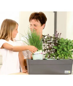 GREENBAR® Naschtomate -Deutschland Genussgarten Verkaufs-Shop 7750482 WE MO 009 GreenbarAnleitungIndoor