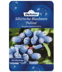 Maibeere 10 Maibeere -Deutschland Genussgarten Verkaufs-Shop 7756448 SibirischeBlaubeerePolina Etikett 1