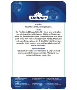 Maibeere 11 Maibeere -Deutschland Genussgarten Verkaufs-Shop 7756448 SibirischeBlaubeerePolina Etikett 2