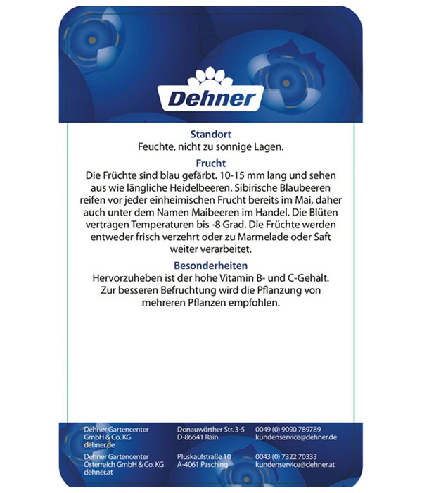 Maibeere 6 Maibeere – Bild 6