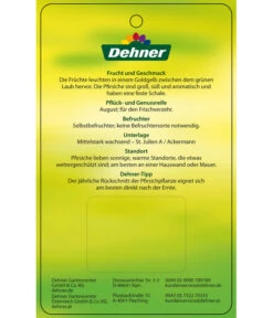 Pfirsich 'Suncrest' -Deutschland Genussgarten Verkaufs-Shop 7760754 GelbfleischigerPfirsichSuncrest Etikett 2