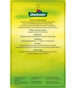 Dehner Tellerpfirsich -Deutschland Genussgarten Verkaufs-Shop 7763378 Tellerpfirsich Etikett 2