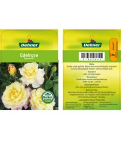 Edelrosen-Mix 'Nostalgie®' -Deutschland Genussgarten Verkaufs-Shop 7800063 AquarellEdelrose Etikett1