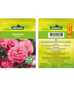 Edelrosen-Mix 'Nostalgie®' -Deutschland Genussgarten Verkaufs-Shop 7800063 AshleyEdelrose Etikett1