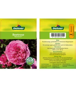 Edelrosen-Mix 'Nostalgie®' -Deutschland Genussgarten Verkaufs-Shop 7800063 BaronesseBeetrose Etikett1
