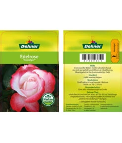 Edelrosen-Mix 'Nostalgie®' -Deutschland Genussgarten Verkaufs-Shop 7800063 NostalgieEdelrose Etikett1