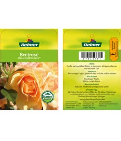 Beetrose 'Hansestadt Rostock®' -Deutschland Genussgarten Verkaufs-Shop 7866551 HansestadtRostockBeetrose Etikett1