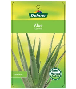 Echte Aloe - Aloe Vera -Deutschland Genussgarten Verkaufs-Shop 7976202 AloeVeraEtikett1