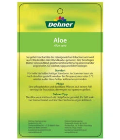 Echte Aloe - Aloe Vera -Deutschland Genussgarten Verkaufs-Shop 7976202 AloeVeraEtikett2