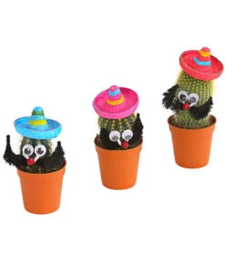 Kaktus Mit Sombrero - Cactaceae, Verschiedene Sorten -Deutschland Genussgarten Verkaufs-Shop 7977291 PR FS 001 KakteenMitSombreroRetDehnerExpressHerzig