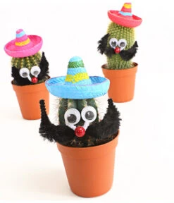 Kaktus Mit Sombrero - Cactaceae, Verschiedene Sorten -Deutschland Genussgarten Verkaufs-Shop 7977291 WE DE 001 KakteenMitSombreroDehnerExpressHerzig