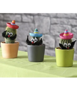 Kaktus Mit Sombrero - Cactaceae, Verschiedene Sorten -Deutschland Genussgarten Verkaufs-Shop 7977291 WE MO 001 KakteenMitSombreroDehnerExpressHerzig