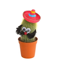Kaktus Mit Sombrero - Cactaceae, Verschiedene Sorten -Deutschland Genussgarten Verkaufs-Shop 7977291 WE PR 003 KaktusRotMitSombreroDehnerExpressHerzig