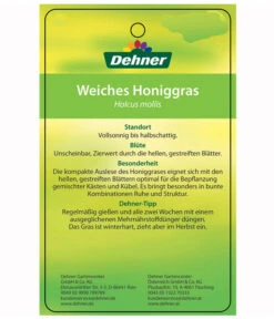 Weiches Honiggras -Deutschland Genussgarten Verkaufs-Shop 8033276 HoniggrasEtikett2
