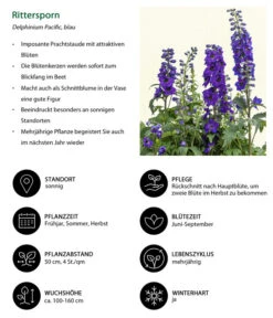 Rittersporn, Verschiedene Farben -Deutschland Genussgarten Verkaufs-Shop 8352692 WE IG 001 RitterspornBlau