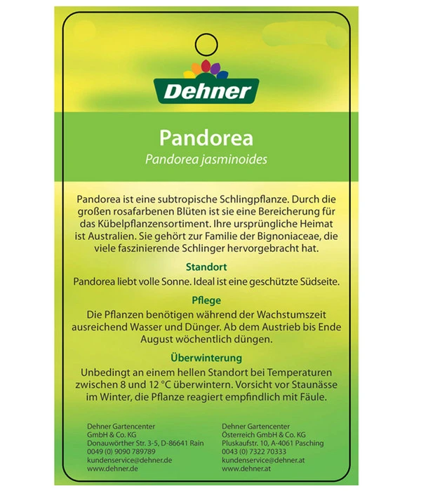 Laubenwein 6 Laubenwein – Bild 6