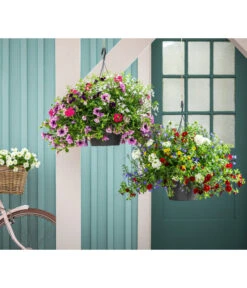 Blumenampel, Verschiedene Sorten -Deutschland Genussgarten Verkaufs-Shop 8602864 WE MO 003 KombiampelVierPflanzenBlumenampel