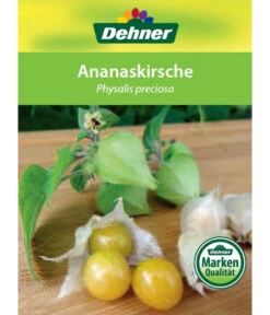 Dehner Ananaskirsche Physalis -Deutschland Genussgarten Verkaufs-Shop 8830069 Ananaskirsche Etikett 1