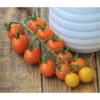 Zuckertomate, Orange
