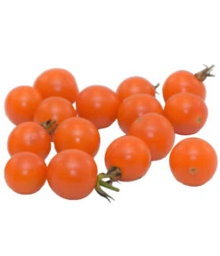 Zuckertomate, Orange 7 Zuckertomate, Orange -Deutschland Genussgarten Verkaufs-Shop 8830101 WE FS 003 ZuckertomateOrange