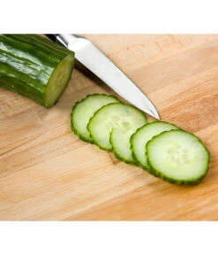 Schlangengurke -Deutschland Genussgarten Verkaufs-Shop 8830788 WE MO 002 Schlangengurke