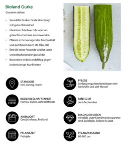 Bioland Gurke, Veredelt -Deutschland Genussgarten Verkaufs-Shop 8830853 WE IG 001 BiolandGurke