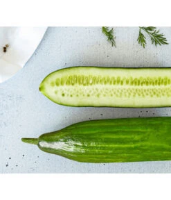 Deutschland Genussgarten Verkaufs-Shop 13 Bioland Gurke, Veredelt