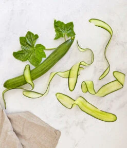 Bioland Gurke, Veredelt -Deutschland Genussgarten Verkaufs-Shop 8830853 WE MO 001 SchlangengurkeveredeltRenner