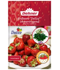 Erdbeere 'Delizz' -Deutschland Genussgarten Verkaufs-Shop 8840274 ErdbeereDelizzImmertragend Etikett 1