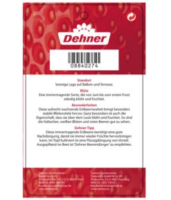 Erdbeere 'Delizz' -Deutschland Genussgarten Verkaufs-Shop 8840274 ErdbeereDelizzImmertragend Etikett 2