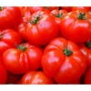 Bioland Fleischtomate