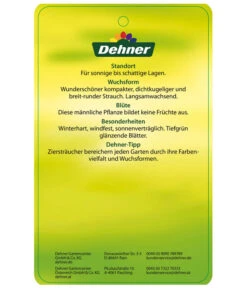 Stechpalme 'Heckenstar' -Deutschland Genussgarten Verkaufs-Shop AmerikanischerIlexHeckenstar Etikett 2